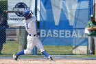 Baseball vs Babson  Wheaton College Baseball vs Babson during Championship game of the NEWMAC Championship hosted by Wheaton. - (Photo by Keith Nordstrom) : Wheaton, baseball, NEWMAC